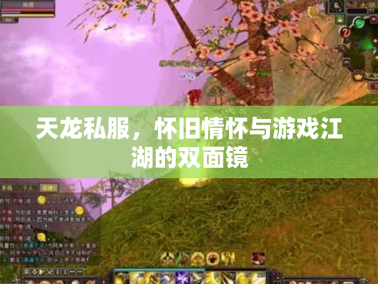 天龙私服，怀旧情怀与游戏江湖的双面镜