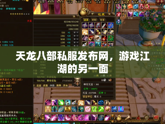 天龙八部私服发布网，游戏江湖的另一面