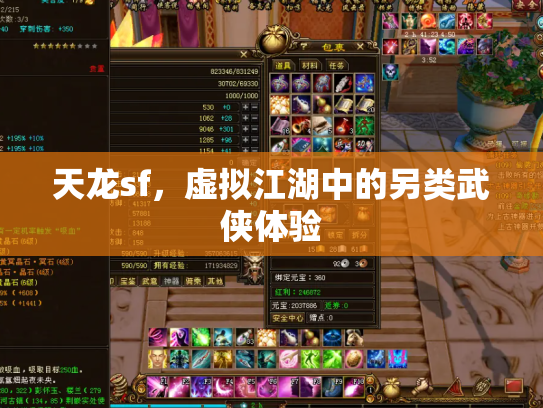 天龙sf，虚拟江湖中的另类武侠体验