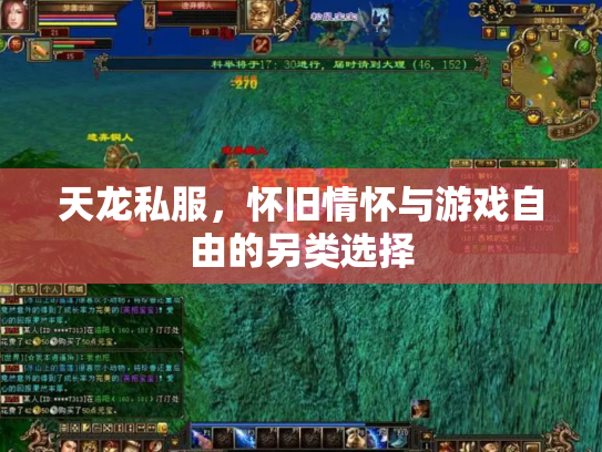 天龙私服，怀旧情怀与游戏自由的另类选择