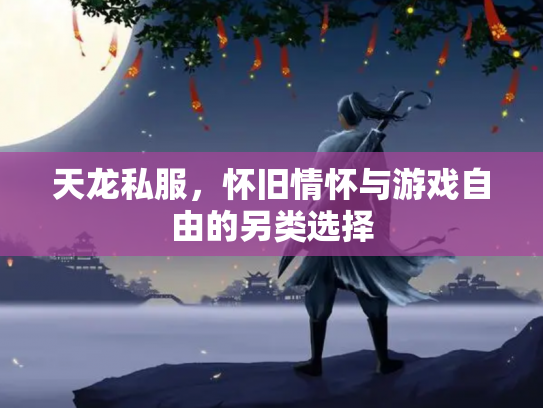 天龙私服，怀旧情怀与游戏自由的另类选择