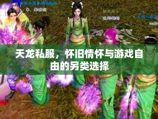 天龙私服，怀旧情怀与游戏自由的另类选择