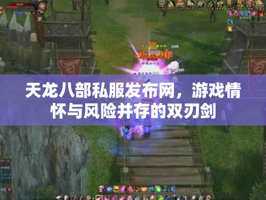 天龙八部私服发布网，游戏情怀与风险并存的双刃剑