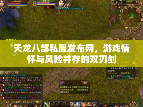天龙八部私服发布网，游戏情怀与风险并存的双刃剑
