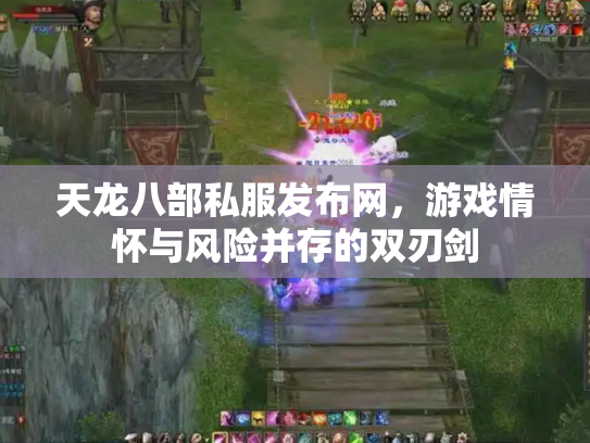天龙八部私服发布网，游戏情怀与风险并存的双刃剑