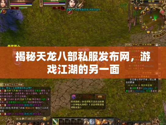 揭秘天龙八部私服发布网，游戏江湖的另一面