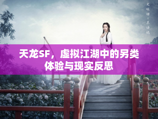 天龙SF，虚拟江湖中的另类体验与现实反思