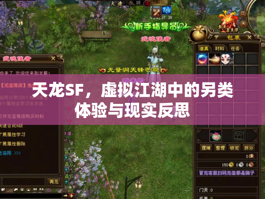 天龙SF，虚拟江湖中的另类体验与现实反思