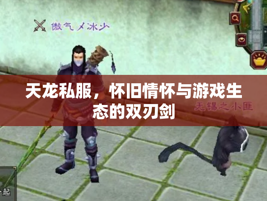 天龙私服，怀旧情怀与游戏生态的双刃剑