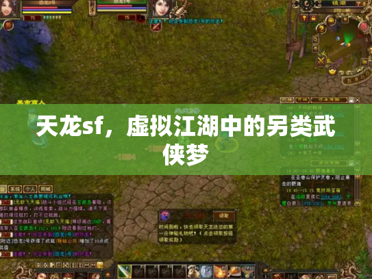 天龙sf，虚拟江湖中的另类武侠梦