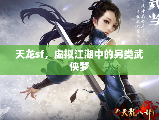 天龙sf，虚拟江湖中的另类武侠梦