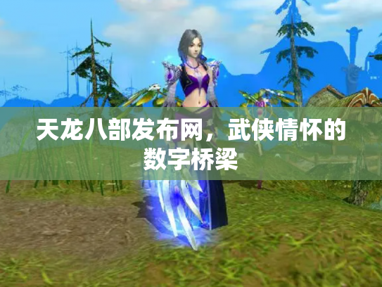天龙八部发布网，武侠情怀的数字桥梁