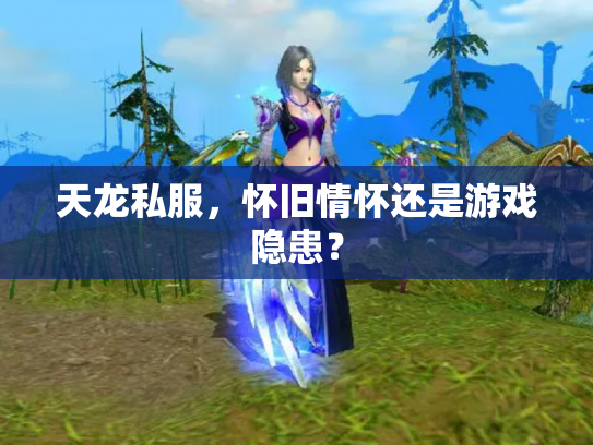 天龙私服，怀旧情怀还是游戏隐患？