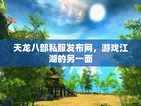天龙八部私服发布网，游戏江湖的另一面