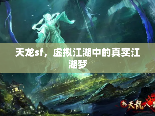 天龙sf，虚拟江湖中的真实江湖梦