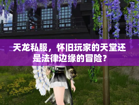 天龙私服，怀旧玩家的天堂还是法律边缘的冒险？