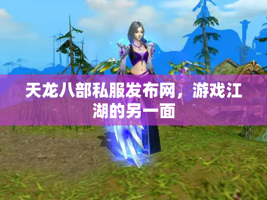 天龙八部私服发布网，游戏江湖的另一面