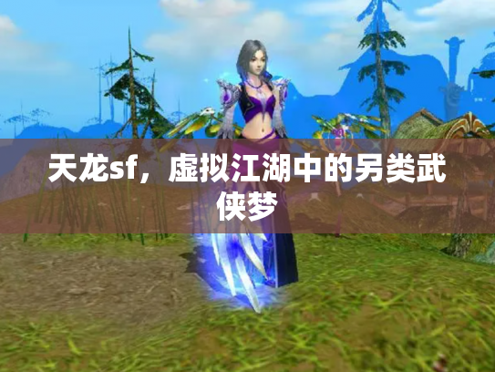 天龙sf，虚拟江湖中的另类武侠梦