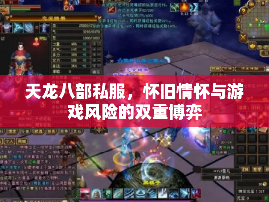 天龙八部私服，怀旧情怀与游戏风险的双重博弈