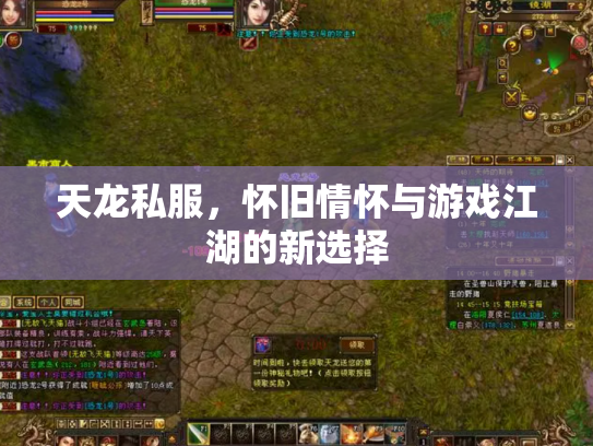 天龙私服，怀旧情怀与游戏江湖的新选择