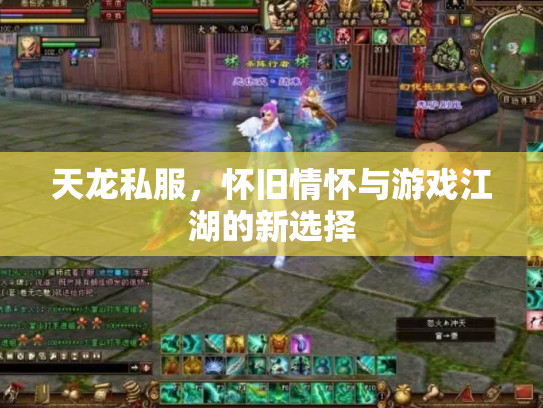 天龙私服，怀旧情怀与游戏江湖的新选择