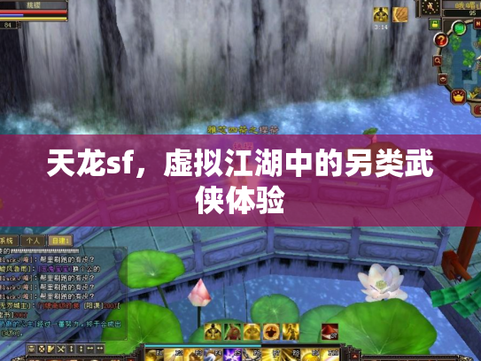 天龙sf，虚拟江湖中的另类武侠体验