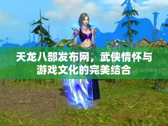天龙八部发布网，武侠情怀与游戏文化的完美结合