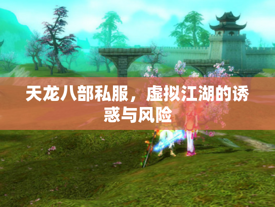 天龙八部私服，虚拟江湖的诱惑与风险