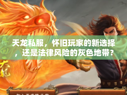 天龙私服，怀旧玩家的新选择，还是法律风险的灰色地带？