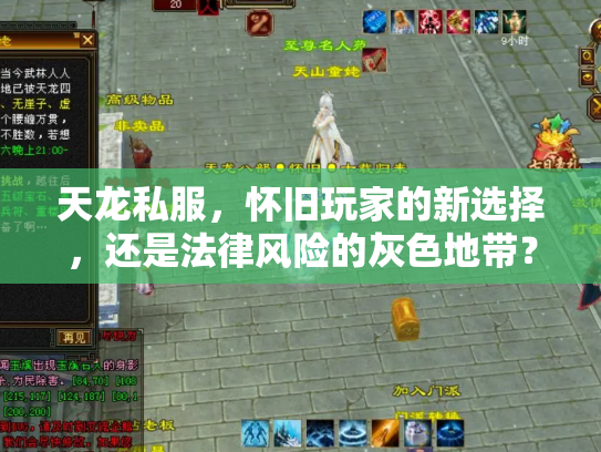 天龙私服，怀旧玩家的新选择，还是法律风险的灰色地带？