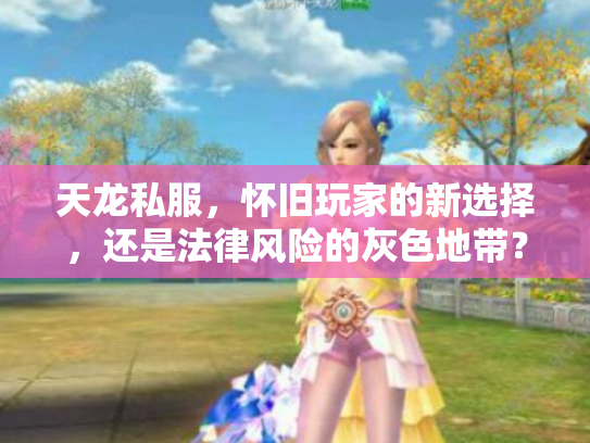 天龙私服，怀旧玩家的新选择，还是法律风险的灰色地带？
