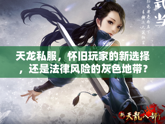 天龙私服，怀旧玩家的新选择，还是法律风险的灰色地带？