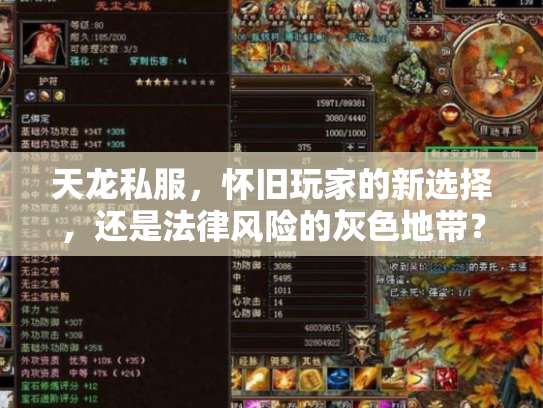 天龙私服，怀旧玩家的新选择，还是法律风险的灰色地带？
