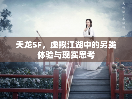 天龙SF，虚拟江湖中的另类体验与现实思考