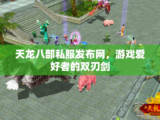 天龙八部私服发布网，游戏爱好者的双刃剑