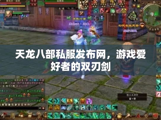 天龙八部私服发布网，游戏爱好者的双刃剑