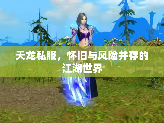 天龙私服，怀旧与风险并存的江湖世界