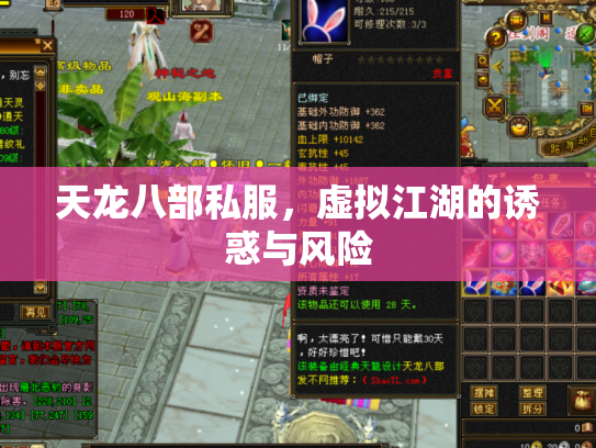 天龙八部私服，虚拟江湖的诱惑与风险