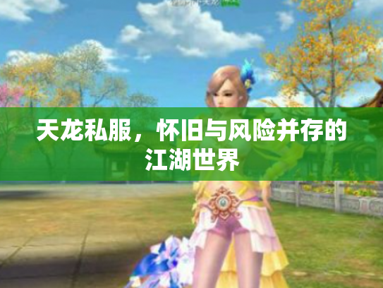 天龙私服，怀旧与风险并存的江湖世界