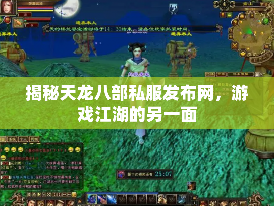 揭秘天龙八部私服发布网，游戏江湖的另一面