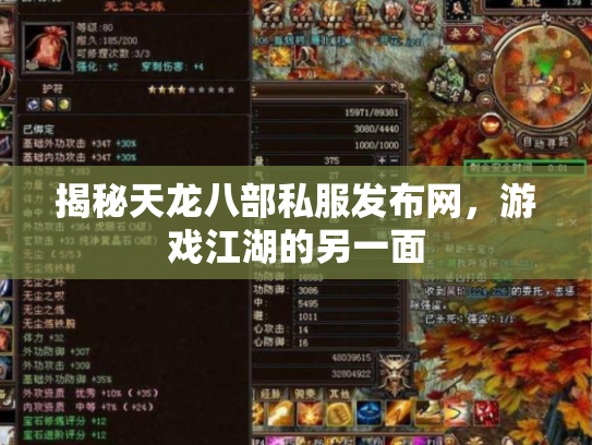 揭秘天龙八部私服发布网，游戏江湖的另一面