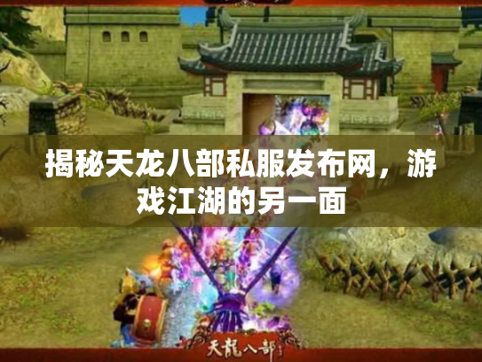揭秘天龙八部私服发布网，游戏江湖的另一面
