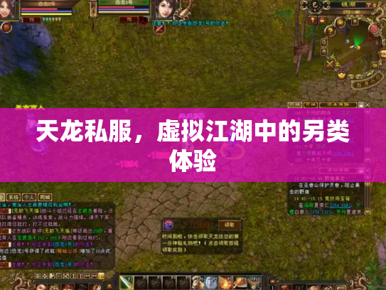 天龙私服，虚拟江湖中的另类体验