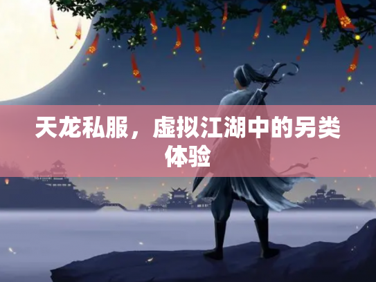 天龙私服，虚拟江湖中的另类体验