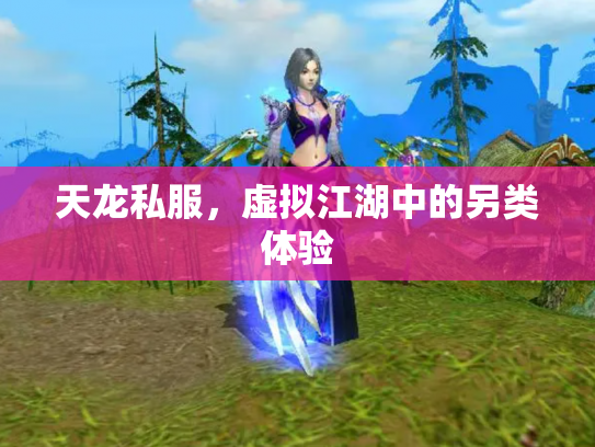 天龙私服，虚拟江湖中的另类体验