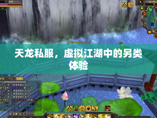 天龙私服，虚拟江湖中的另类体验