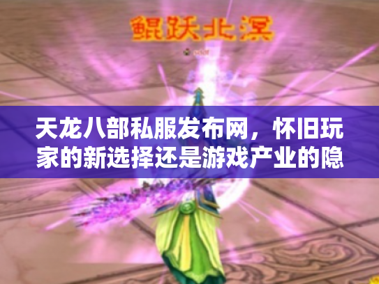 天龙八部私服发布网，怀旧玩家的新选择还是游戏产业的隐患？