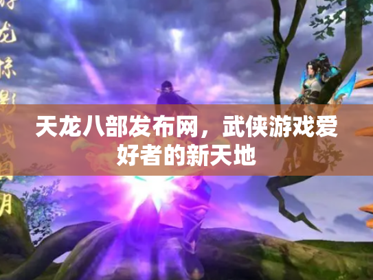 天龙八部发布网，武侠游戏爱好者的新天地