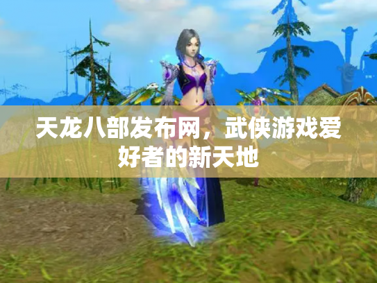 天龙八部发布网，武侠游戏爱好者的新天地