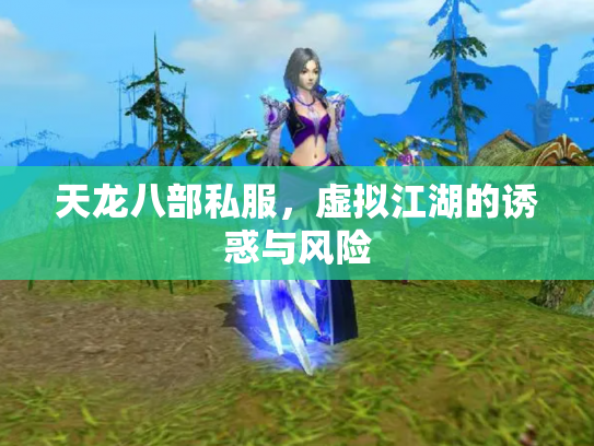天龙八部私服，虚拟江湖的诱惑与风险